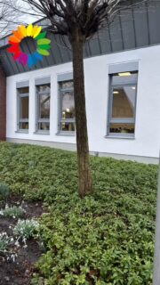 gestern am 11.03.2026 war es soweit: 

Wir haben uns endlich wiedergesehen in der großen Runde. 

Ihr GrasbergerInnen habt uns wieder jede Menge bunten Input und Infos mitgebracht zur offenen Fraktionssitzung. 

Ihr seid so stark 💪🏼und kreativ, wenn es um tolle Ideen 💡 für unser schönes Grasberg geht, die nichts kosten, außer Mut. 

Wir sind dankbar dass ihr alle da wart, und uns bereichert; so wie die Gemeinde in der wir zusammen leben. 

Denn für uns ist es keine Selbstverständlichkeit, sondern etwas Besonderes, dass Ihr als BürgerInnen und Nichtmitglieder so viel Interesse an Kommunalpolitik habt und Euch und Eure Anliegen einbringt.

Auf ein Wiedersehen-vielleicht schon ganz bald,  beim nächsten offenen Treffen unseres Ortsverbandes 🌻

->Termine findet Ihr wie immer auf unserer Homepage (Link im Profil) 

#übermorgenreden 
#grasberg
#gemeinsamfürgrasberg 
#engagement 
#grünegrasberg