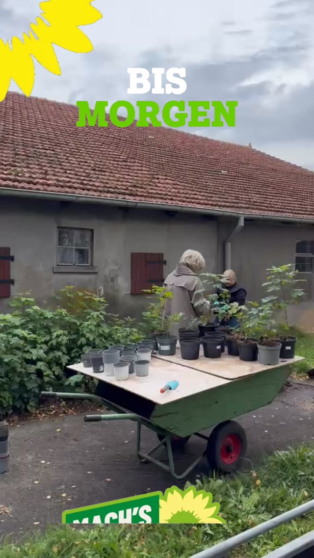…habt ihr Lust mit uns über Morgen zu sprechen? 
Dann freuen wir uns Euch am Samstag den 22.08.2026 von 09:00 bis 14:00 und von 18:00-21:00 Uhr bei Edeka hier bei uns in Grasberg zu treffen🌻…und weil wir nicht nur gerne auf der Blüh-und Streuobstwiese am Findorffhof gärtnern,  bringen wir einige grüne Klimaanlagen mit 🌳 🌳 🌳 
Macht’s grün ! 
…wir sehen uns 🌻
#grasberg
#gemeindegeasberg
#gemeinsamfürgrasberg 
#grünegrasberg 
#klimaanlage