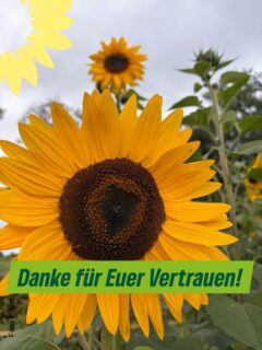 Liebe Grasbergerinnen und Grasberger,
von Herzen Danke für Euer Vertrauen, für jede einzelne Stimme und für dieses starke Ergebnis bei der Kommunalwahl! 
Euer Zuspruch freut uns sehr und ist für uns zugleich Ansporn und Verantwortung.
Ein großes Dankeschön gilt auch allen Kandidatinnen und Kandidaten sowie allen Menschen, die sich hier in Grasberg auch heute ehrenamtlich politisch engagieren und damit unsere Gemeinde so lebendig und vielfältig machen. 
Und damit auch zu einem „sicheren Hafen“! 
Unser Ziel bleibt klar: Wir wollen Euch weiterhin mitnehmen, zuhören, ansprechbar sein und gemeinsam mit Euch Grasberg gestalten. Damit alle Menschen hier auch in Zukunft gut und zufrieden leben können.
🌻
Dass die AfD im Grasberger Gemeinderat nicht vertreten ist, ist ein gutes Zeichen. 
Gleichzeitig dürfen wir nicht aus dem Blick verlieren, was um uns herum passiert. 
Die Ergebnisse der Kommunalwahl in den Nachbargemeinden und auf Kreisebene zeigen, dass sich Mehrheiten verändern und die politische Arbeit im Landkreis dadurch spürbar anders und auch schwieriger werden kann.
Was im Landkreis und im Kreistag entschieden wird, betrifft uns in Grasberg unmittelbar. 
Deshalb schauen wir genau hin und wollen unseren Teil dazu beitragen, dass der Landkreis Osterholz auch in Zukunft für uns alle verlässlich bleibt.

Gerade jetzt braucht es Stabilität und Erfahrung.Einen Landrat, der zuhört, vermittelt  und die Kommunen als Partner ernst nimmt.
Deshalb unterstützen wir @kimfürwentsches bei der anstehenden Stichwahl mit voller Überzeugung. 💪🏼
Kim hat in vielen komplexen Situationen bewiesen, dass er verlässlich, lösungsorientiert und gemeinsam mit den Menschen etwas bewegen kann. 
Er hört zu, beteiligt, packt an und bleibt auch dann dran, wenn es schwierig wird.

Lasst uns gemeinsam dafür sorgen, dass Grasberg offen, bunt und vielfältig bleibt – und dass wir im Landkreis einen verlässlichen Landrat an unserer Seite haben, der die Kommunen unterstützt und auch die Anliegen der Menschen in Grasberg dabei im Blick hat. Jetzt heißt es wieder: Ihr habt am 27.09.2026 die Wahl und wir machen hier mit Euch gemeinsam weiter🤝
#danke
#grasberg
#gemeinsam
#kommunalwahl
#landkreisosterholz