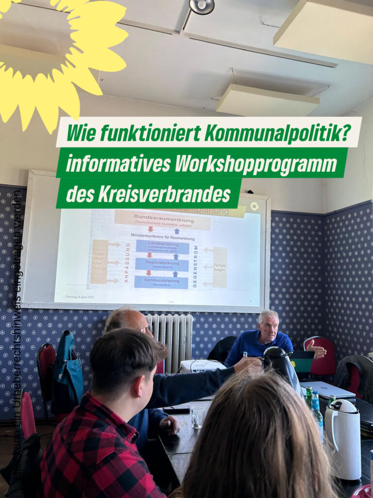 Wie funktioniert Kommunalpolitik?